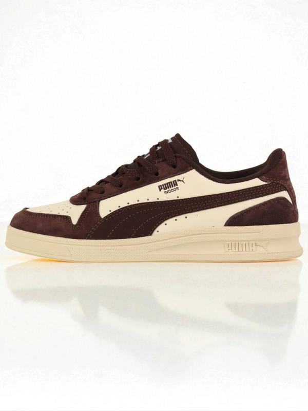 Puma Indoor