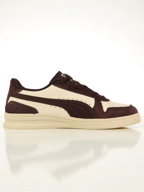 Puma Indoor