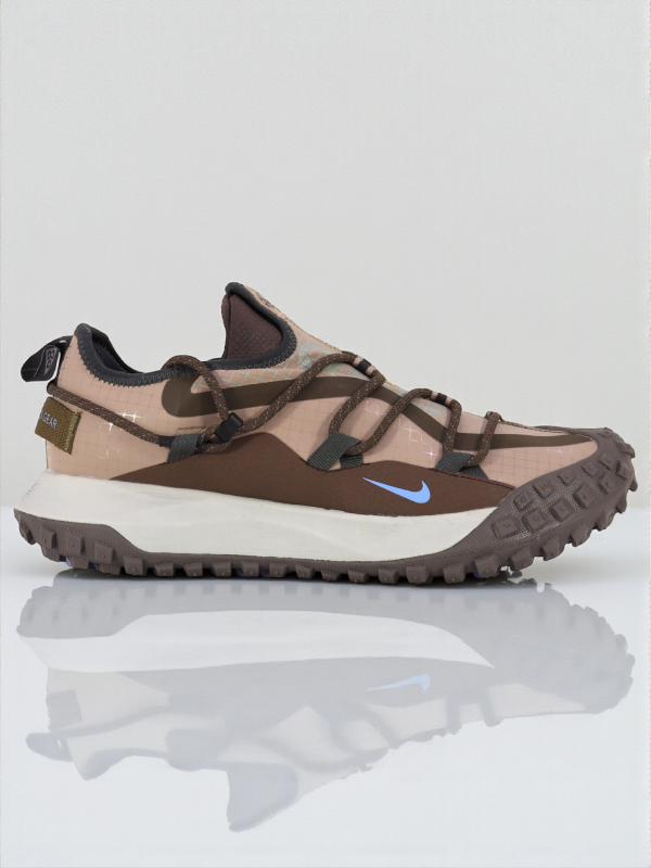 Nike ACG Mountain Fly Low Gore-Tex