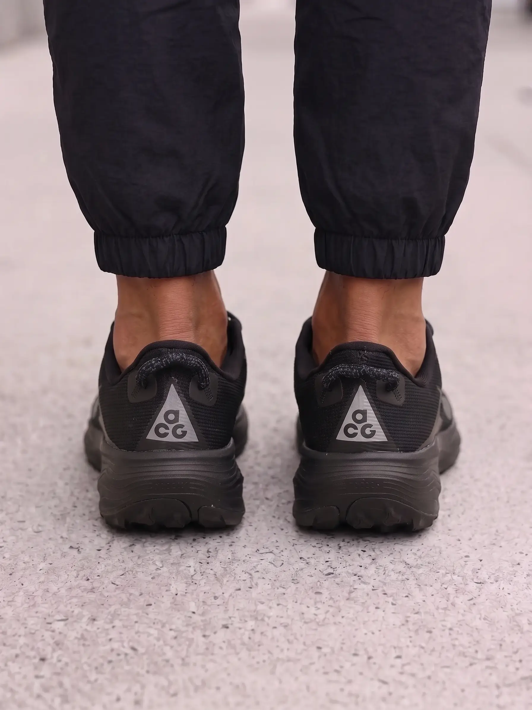 Nike ACG Pegasus