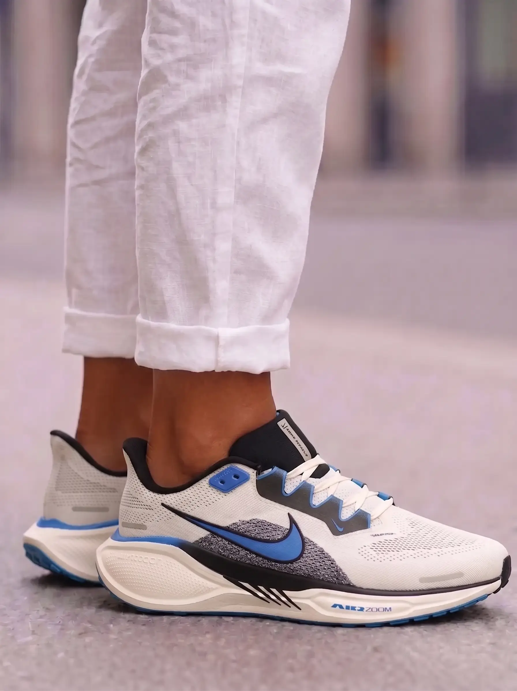 Nike Pegasus Easyon